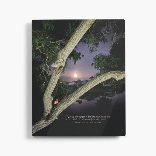 Buck Moon print