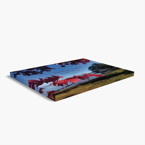 Every Beautiful Thing