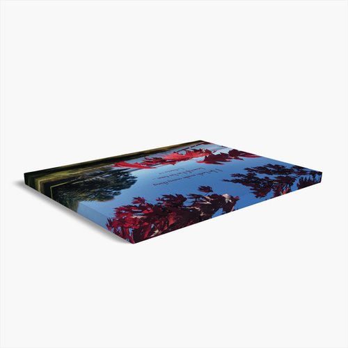 Every Beautiful Thing