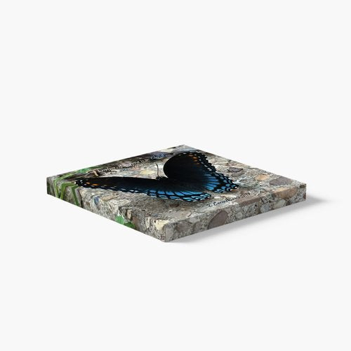 New Beginnings canvas