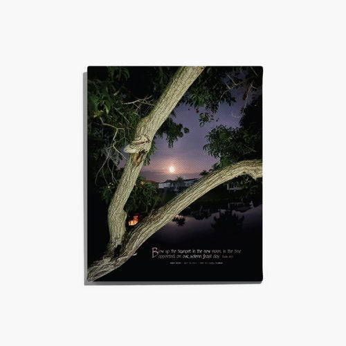 Buck Moon print