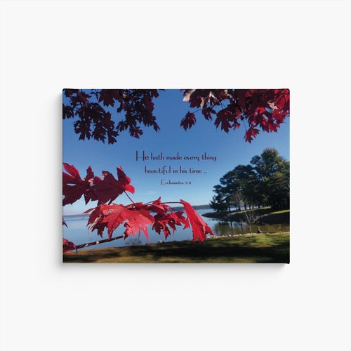 Every Beautiful Thing