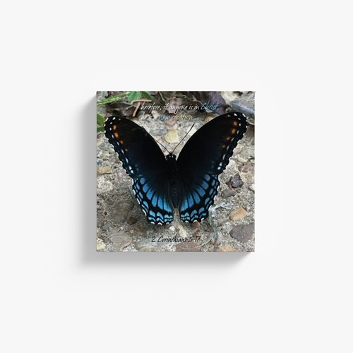 New Beginnings print