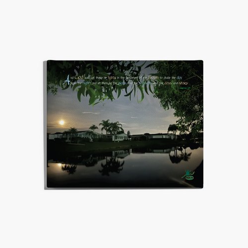 Reflections of the Moon print